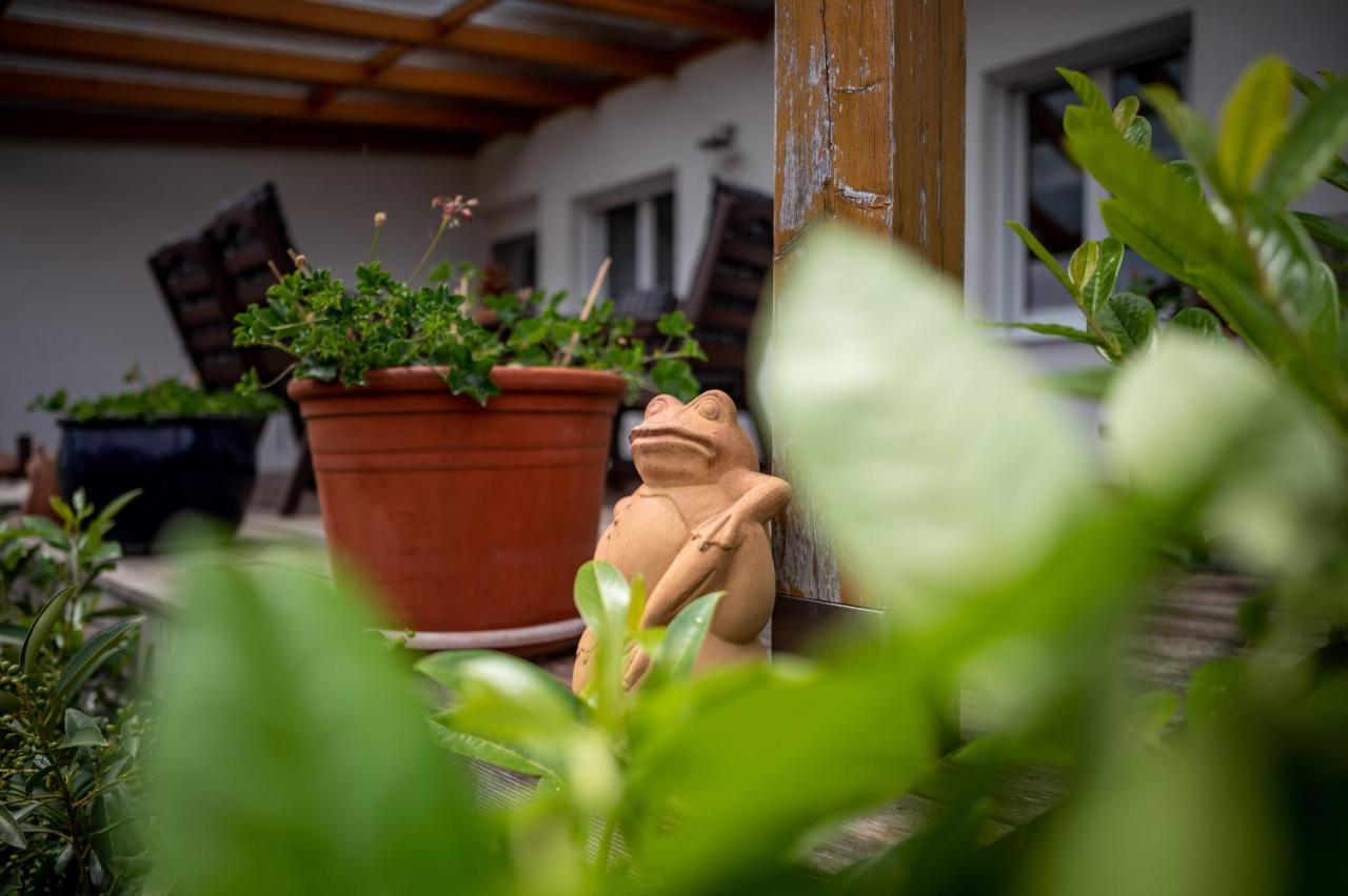 Winzerferienhaus Schueller Purbach am Neusiedlersee Luaran gambar